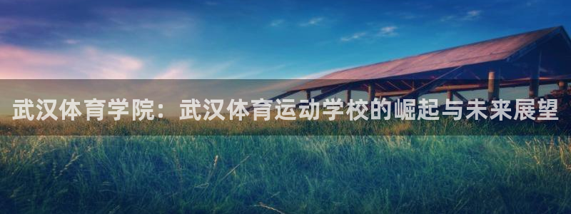J9官方正版app集团logo：武汉体育学院：武汉体