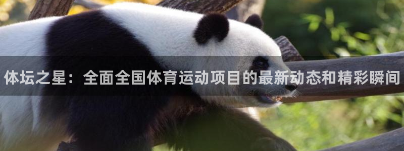 J9官网下载平台注册要钱吗安全吗：体坛之星：全面全国体育运动