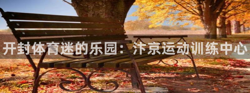 J9官方平台体育：开封体育迷的乐园：汴京运动训练中心