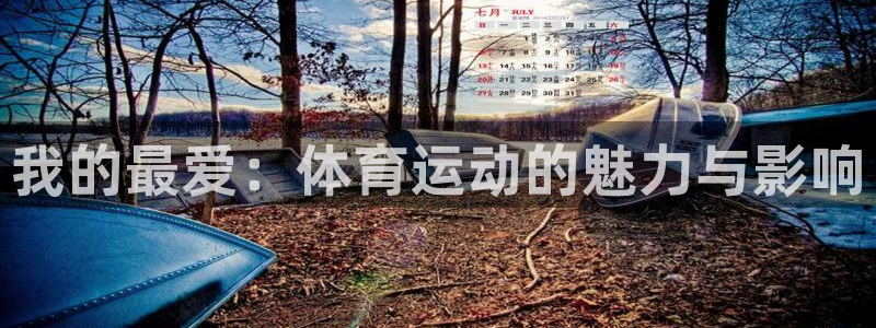 J9官方正版app五金厂：我的最爱：体育运动的魅力与影响