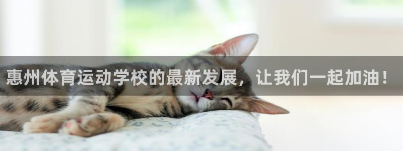J9官网下载招商电话是多少啊：惠州体育运动学校的最新