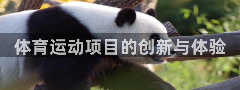 J9官网下载娱乐：体育运动项目的创新与体验