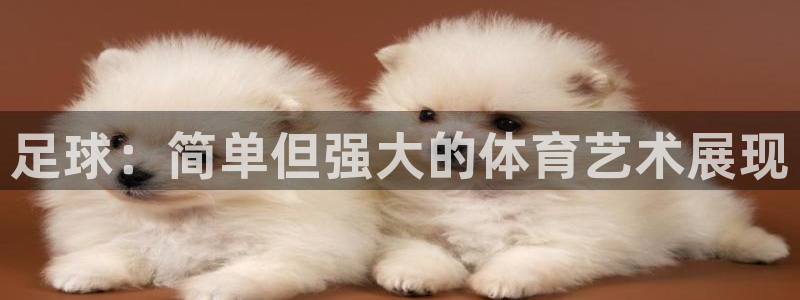 J9官网下载招商电话是多少号码：足球：简单但强大的体育艺术展