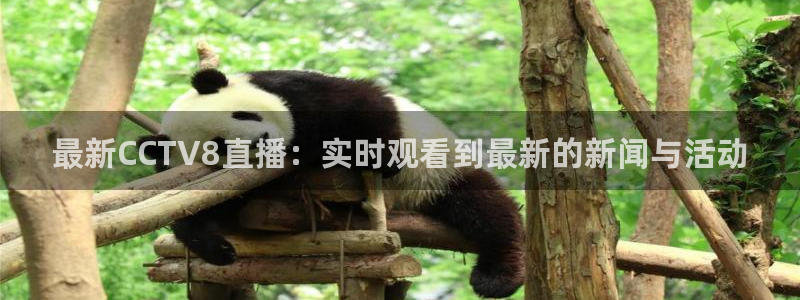 下载咪咕视频app下载安装：最新CCTV8直播：实时观看到最新的新闻与活动