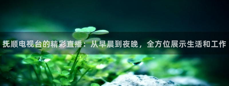 咪咕体育直播免费观看：抚顺电视台的精彩直播：从早晨到夜晚，全方位展示生活和工作