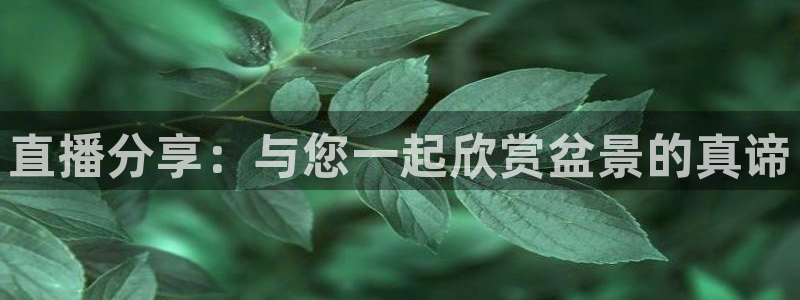 咪咕体育直播在线：直播分享：与您一起欣赏盆景的真谛