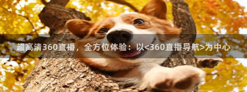 咪咕视频体育免费篮球现场直播：超高清360直播，全方位体验：以<360直播导航>为中心